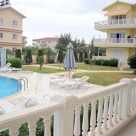 In Cleodora