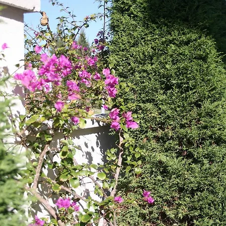 Apartment In Cleodora